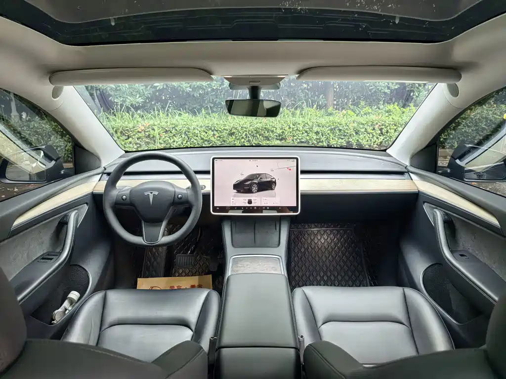 Tesla Model Y — миниатюра 7