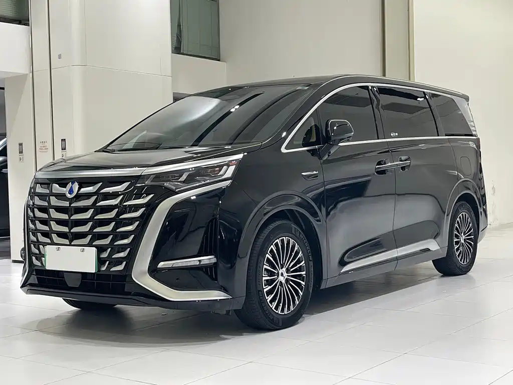 Denza D9