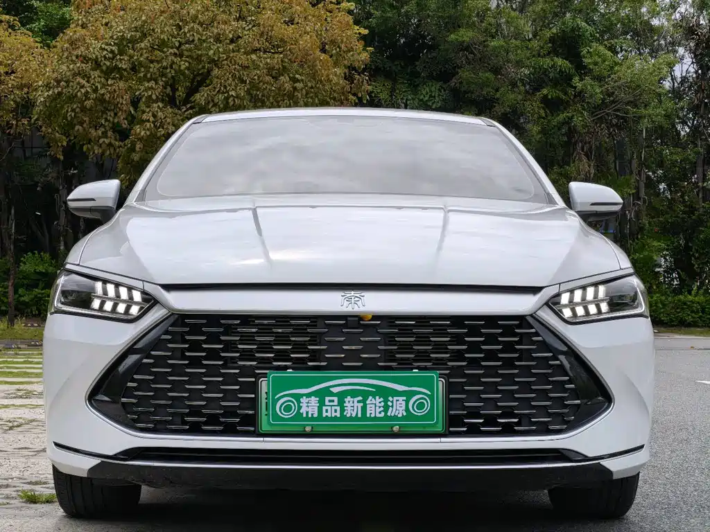 BYD Qin Plus PLUS 2024 DM-i 55KM Lead