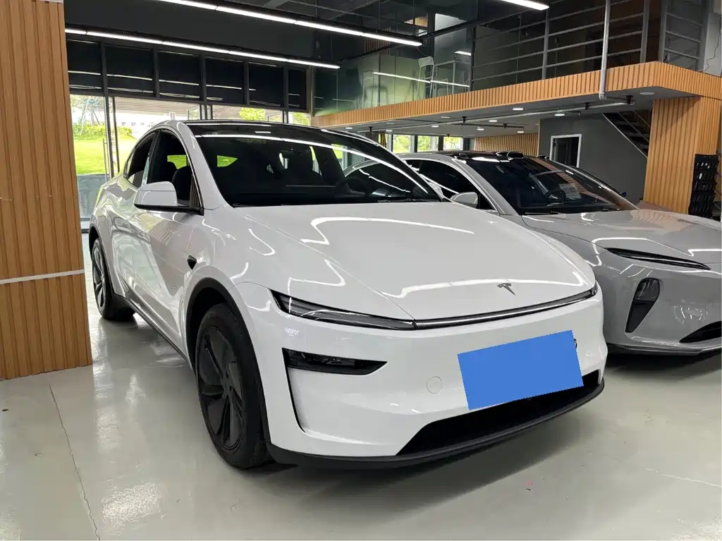 Tesla Model Y — миниатюра 3