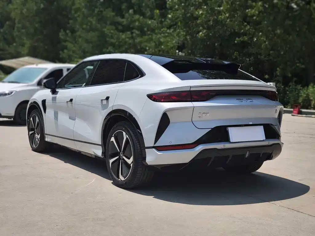 BYD L EV — миниатюра 6