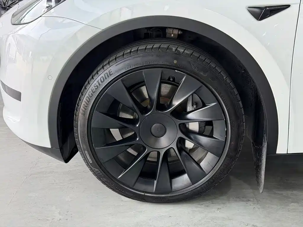Tesla Model Y — миниатюра 4