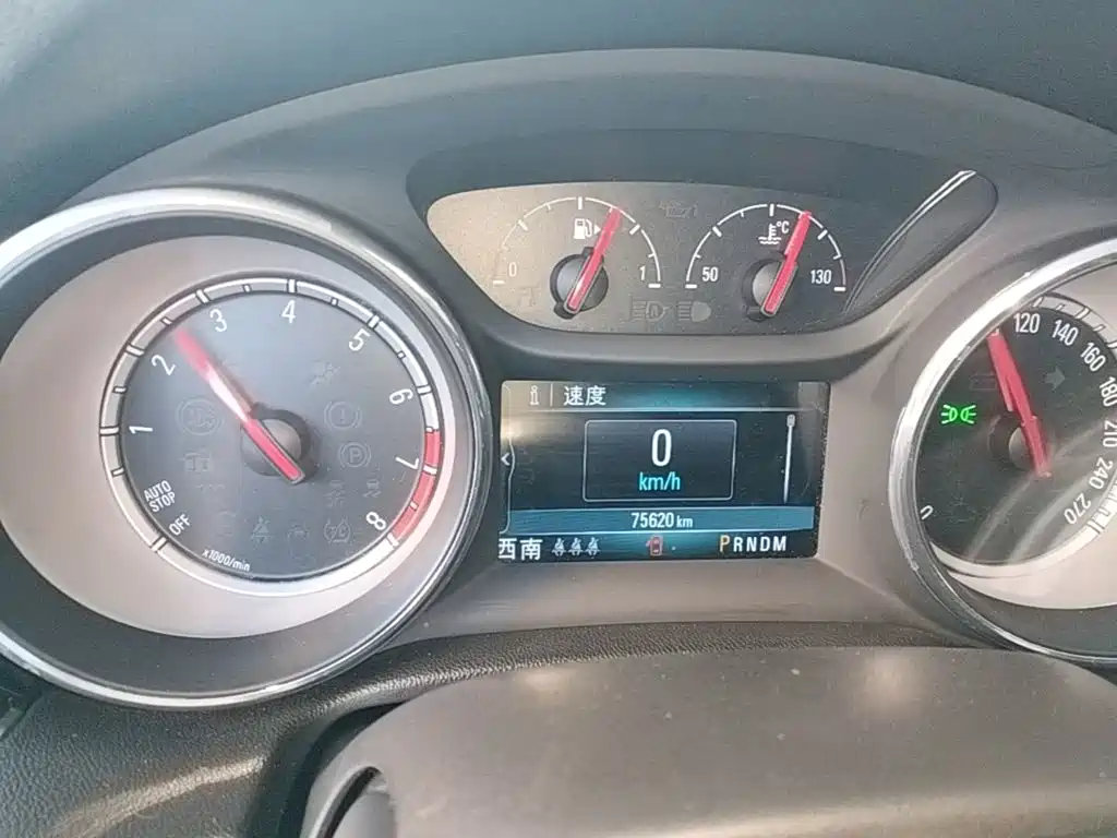 Buick Regal — миниатюра 12