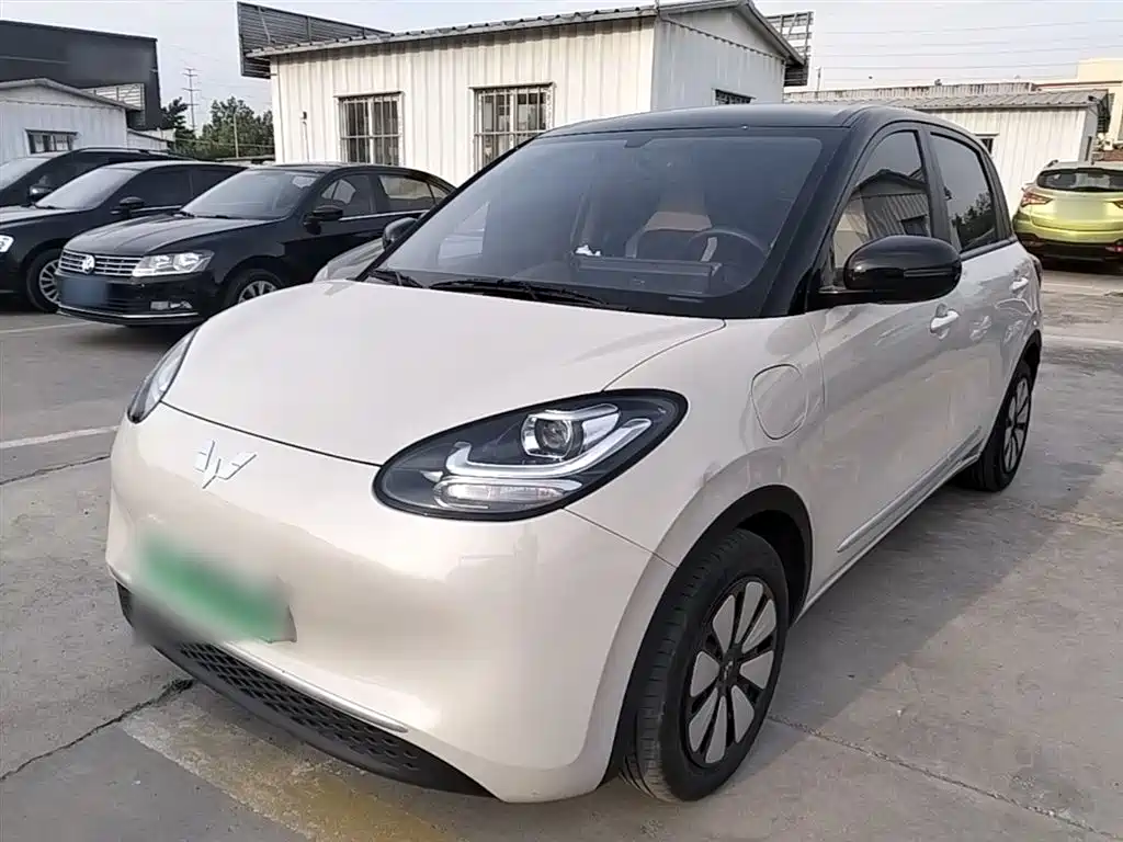 Wuling Bingo 2024