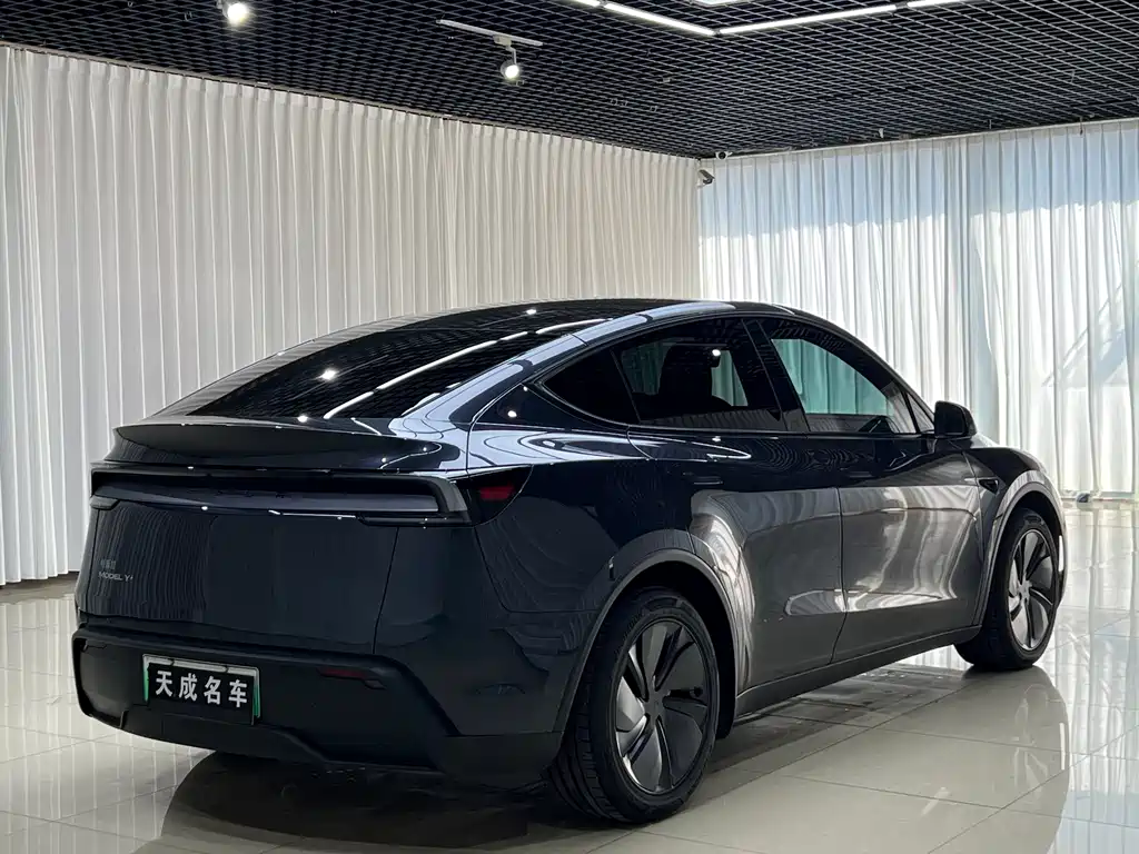 Tesla Model Y — миниатюра 4