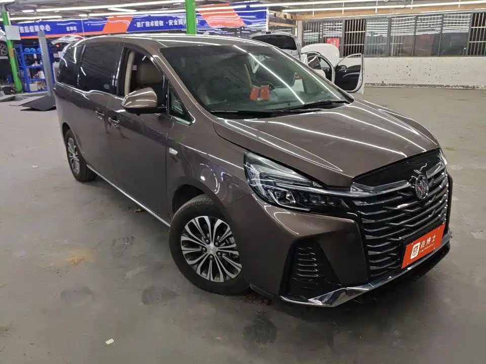Buick GL8 — миниатюра 5