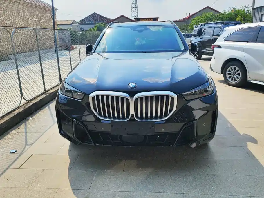 BMW X5 — миниатюра 2