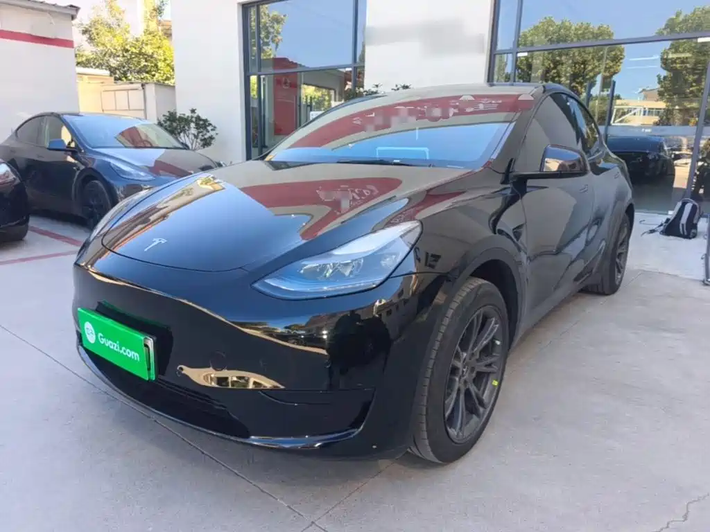 Tesla Model Y — миниатюра 2