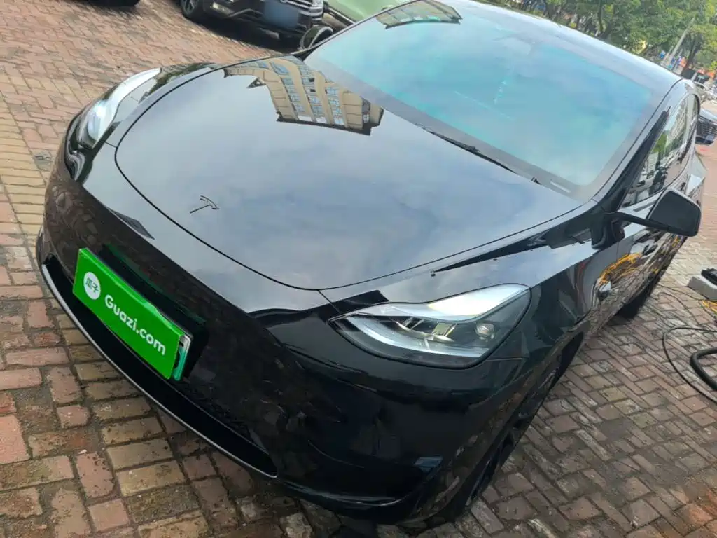 Tesla Model Y — миниатюра 2