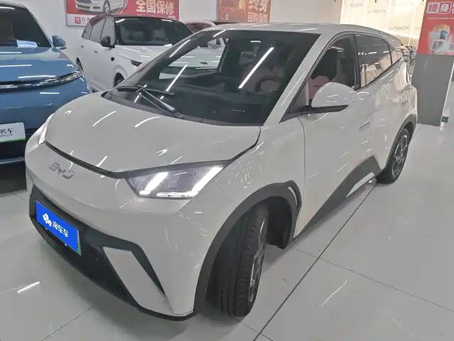 2024 BYD Seagull