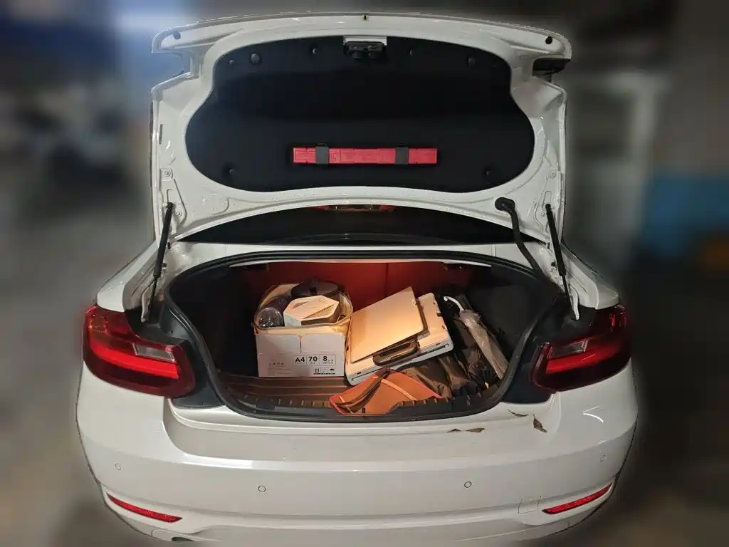 BMW 2 Series (Import) — миниатюра 10