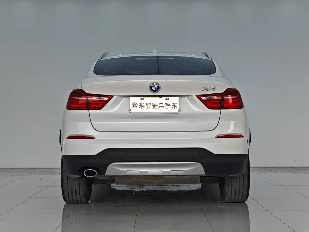 BMW X4 — миниатюра 5