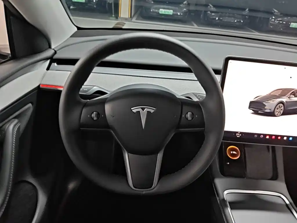 Tesla Model Y — миниатюра 11
