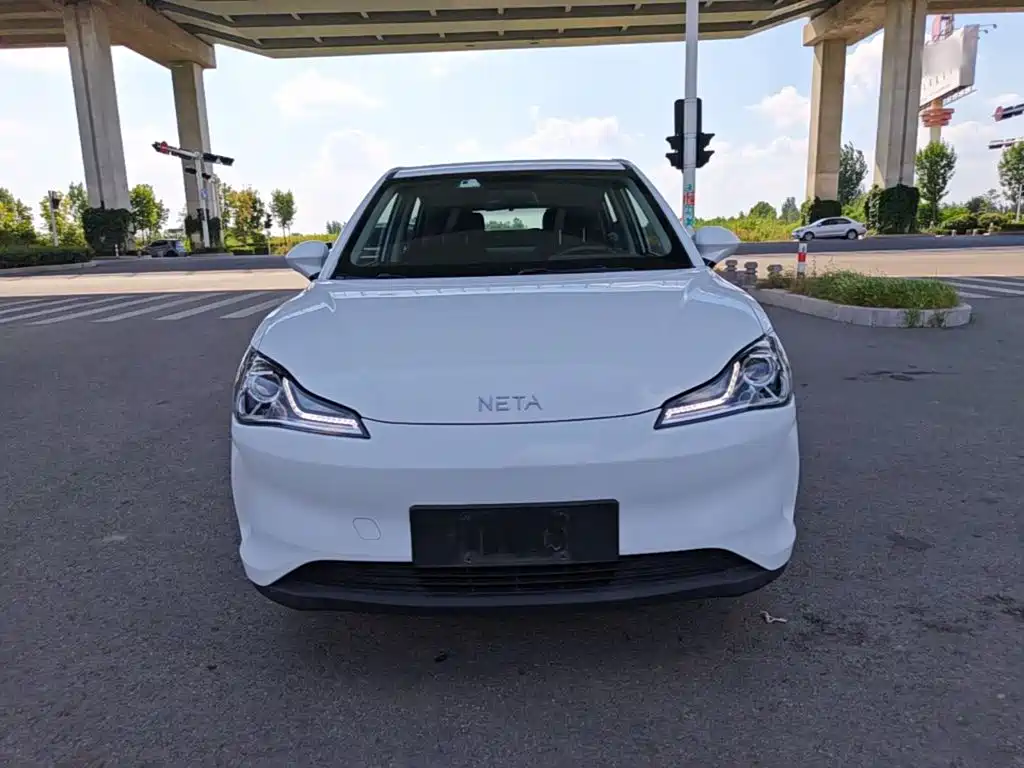Neta Neta V — миниатюра 3