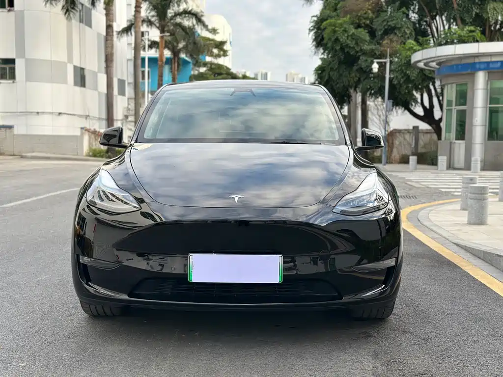 Tesla Model Y — миниатюра 2