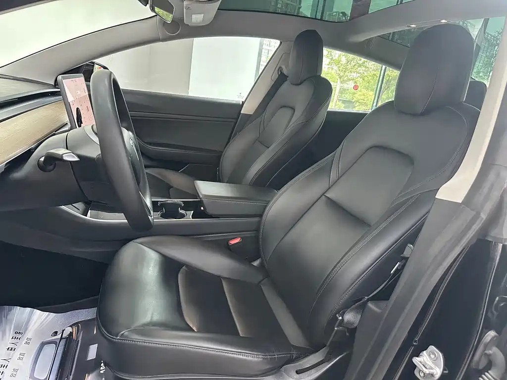 Tesla Model 3 — миниатюра 15
