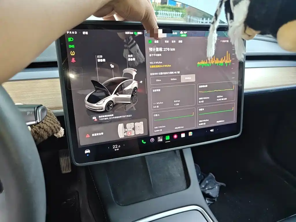 Tesla Model 3 — миниатюра 14
