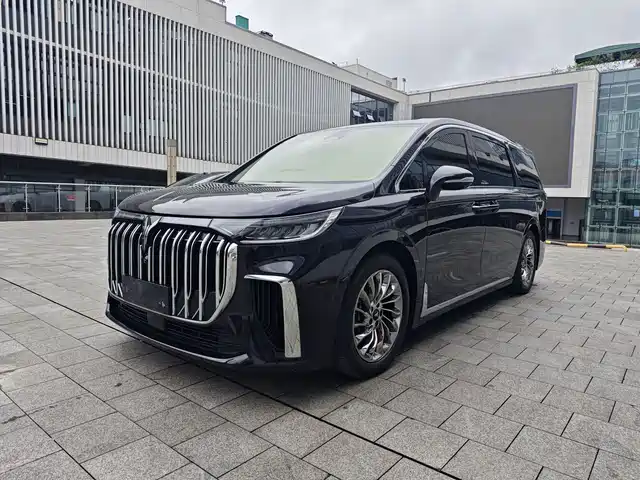 2025 Voyah Dream