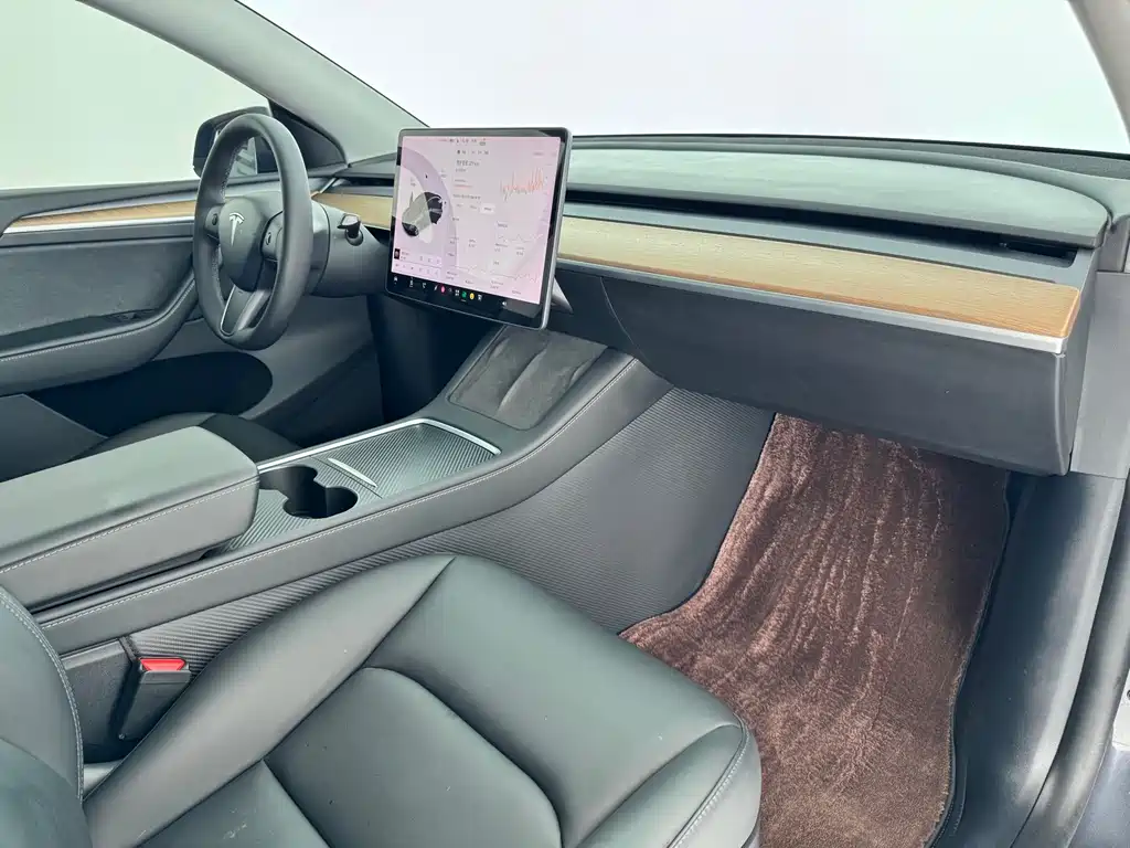 Tesla Model Y — миниатюра 9