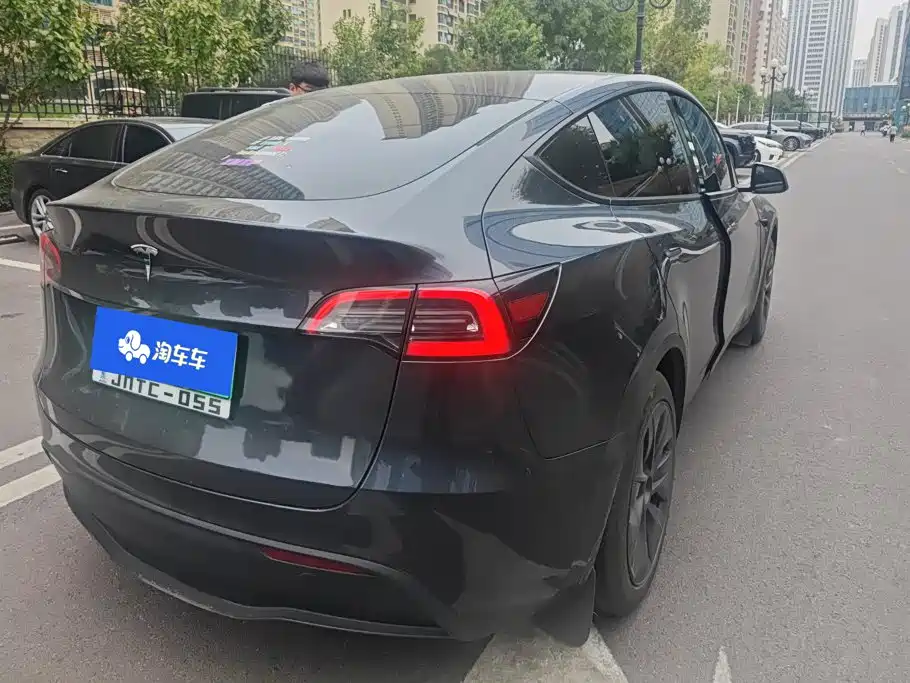 Tesla Model Y — миниатюра 3