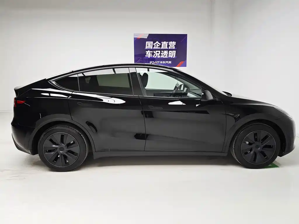 Tesla Model Y — миниатюра 7