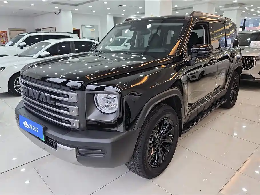 Haval Menglong New Energy 2024