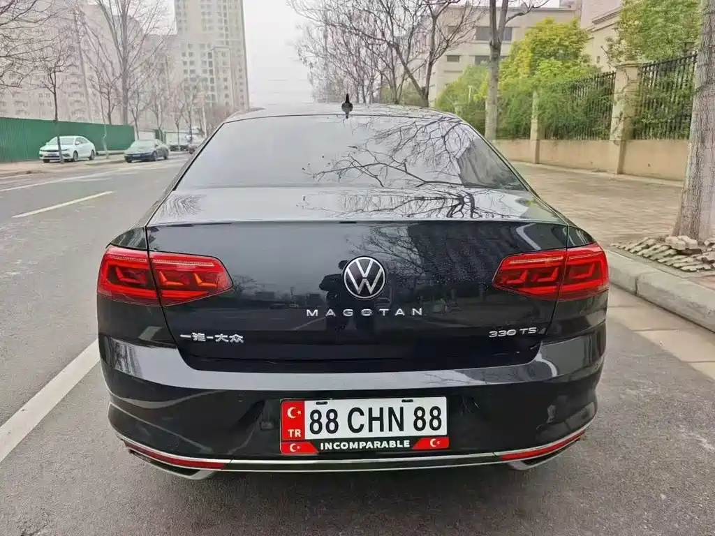 Volkswagen Magotan 2020 330TSI DSG Luxury