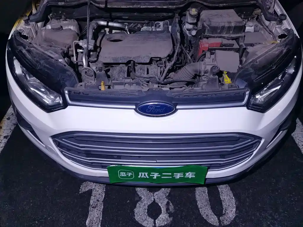 Ford Ecosport — миниатюра 21