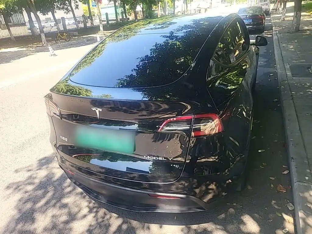 Tesla Model Y — миниатюра 6