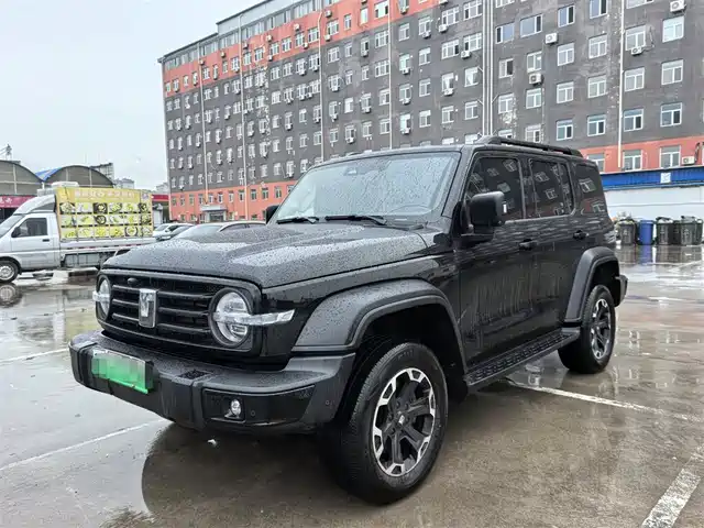 TANK TANK 300 NEW ENERGY 2025