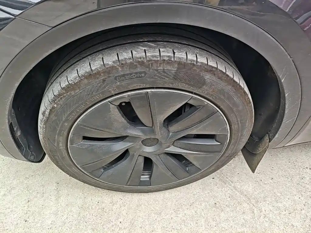 Tesla Model Y — миниатюра 23