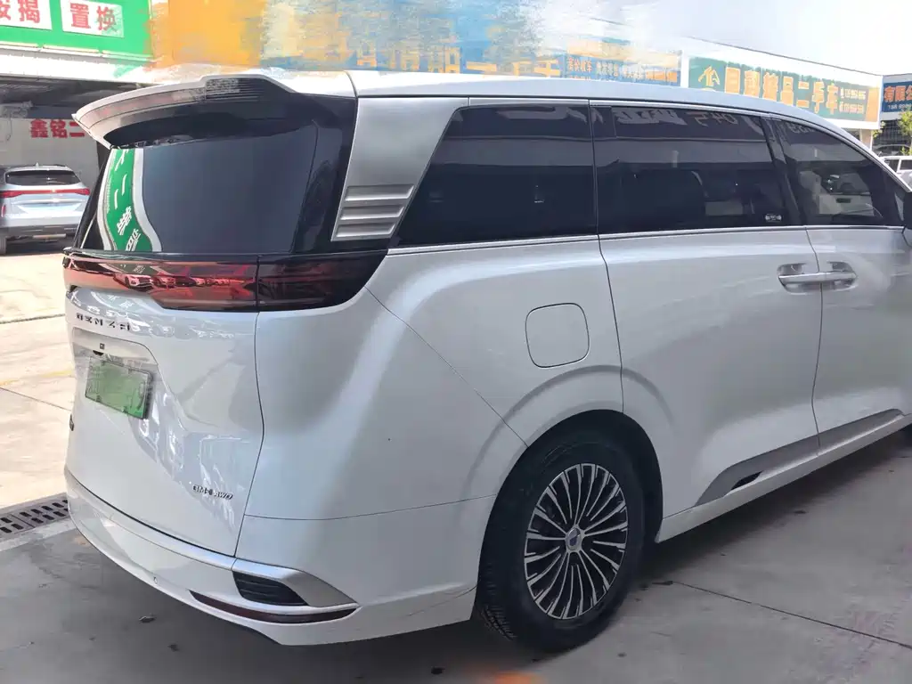 Denza Denza D9 — миниатюра 8
