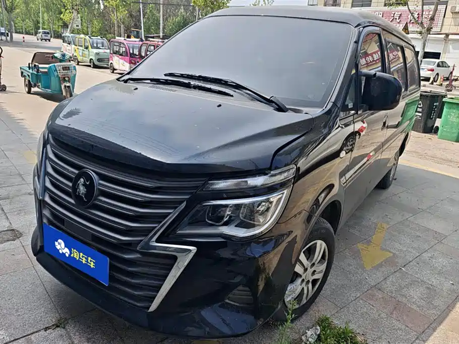 Fengxing Lingzhi 2023