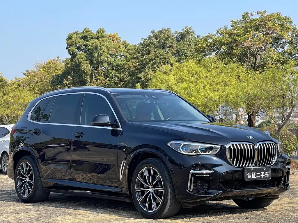 BMW X5 — миниатюра 3