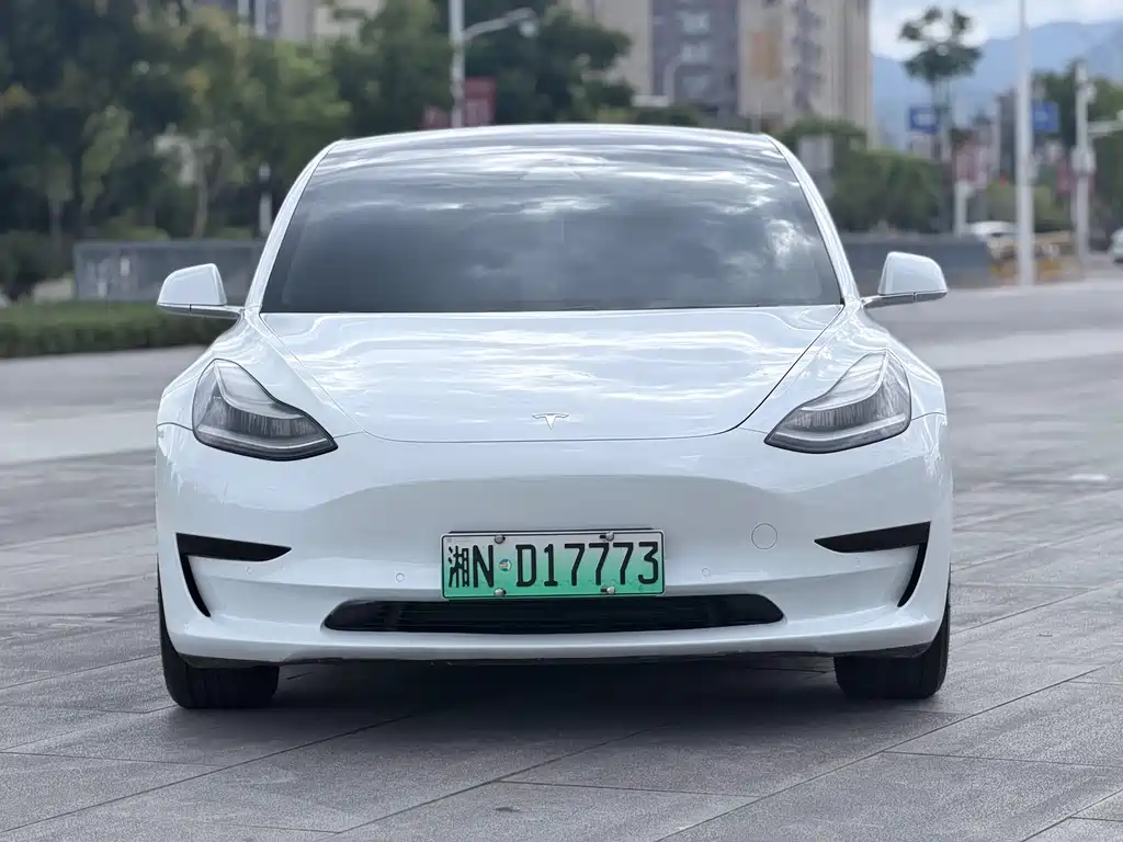 Tesla Model 3 — миниатюра 2