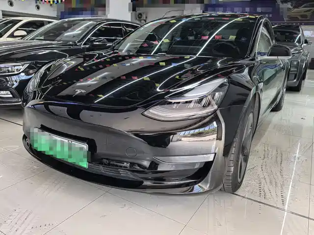 TESLA MODEL 3 2019