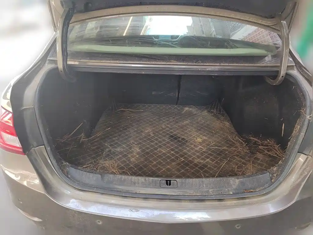 Buick Excelle — миниатюра 10