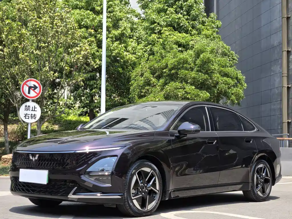 Wuling Xingguang 2025