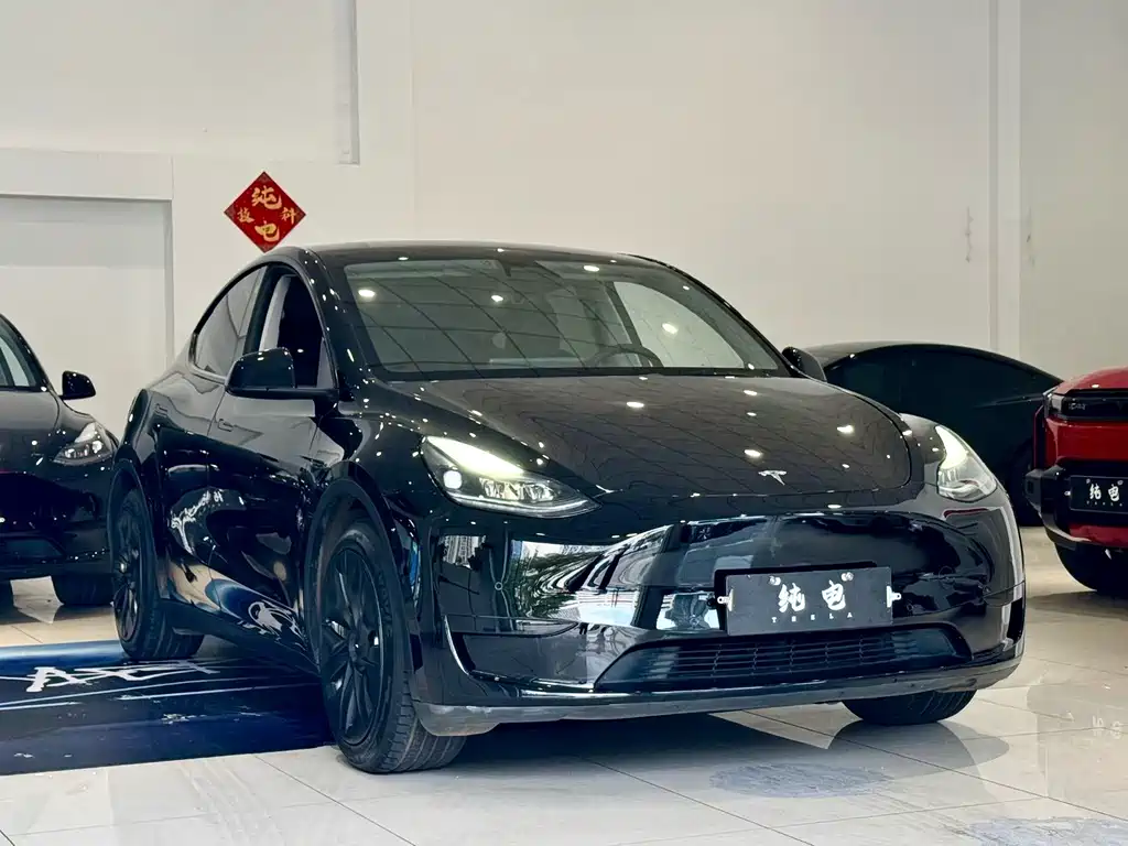 Tesla Model Y — миниатюра 4