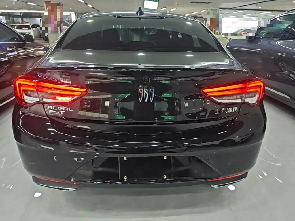 Buick Regal — миниатюра 6