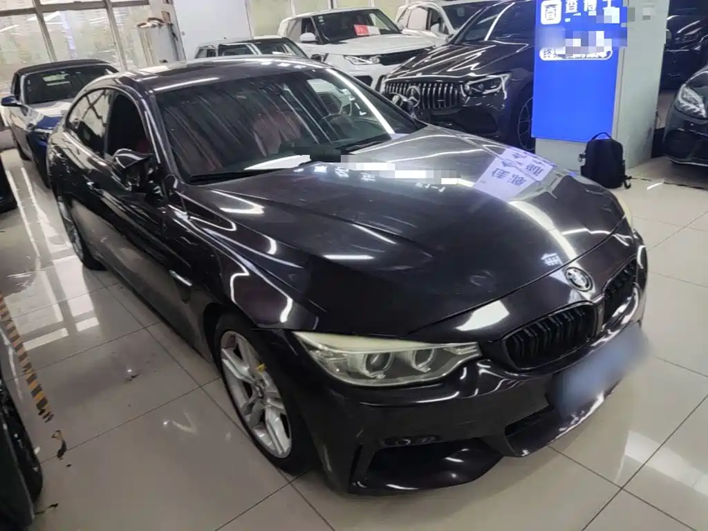 BMW 4 Series — миниатюра 4