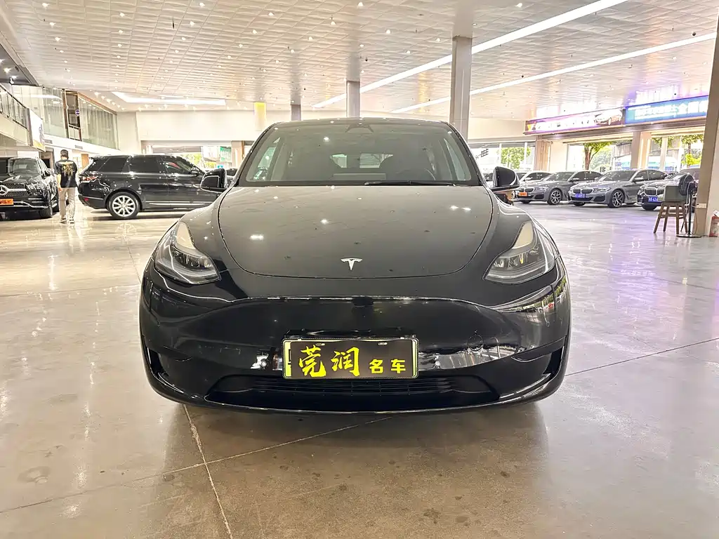 Tesla Model Y — миниатюра 2