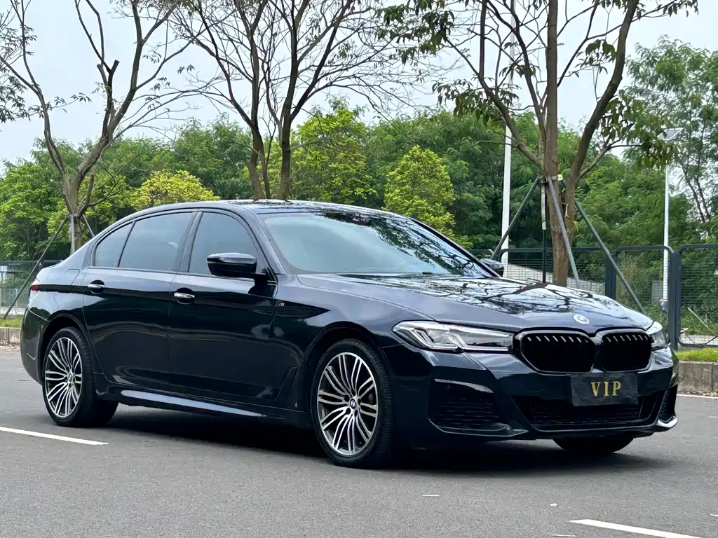 BMW 5 Series — миниатюра 3