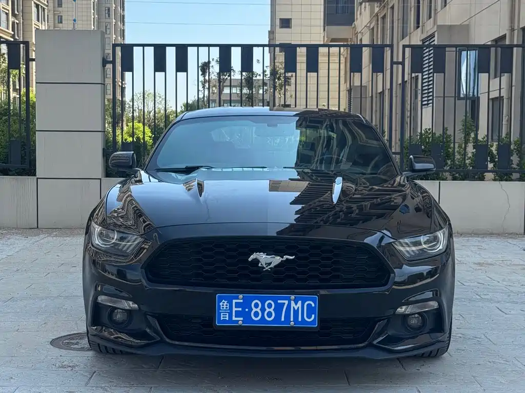 Ford Mustang — миниатюра 2