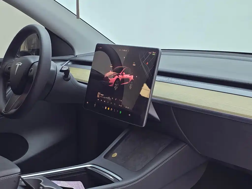 Tesla Model Y — миниатюра 7
