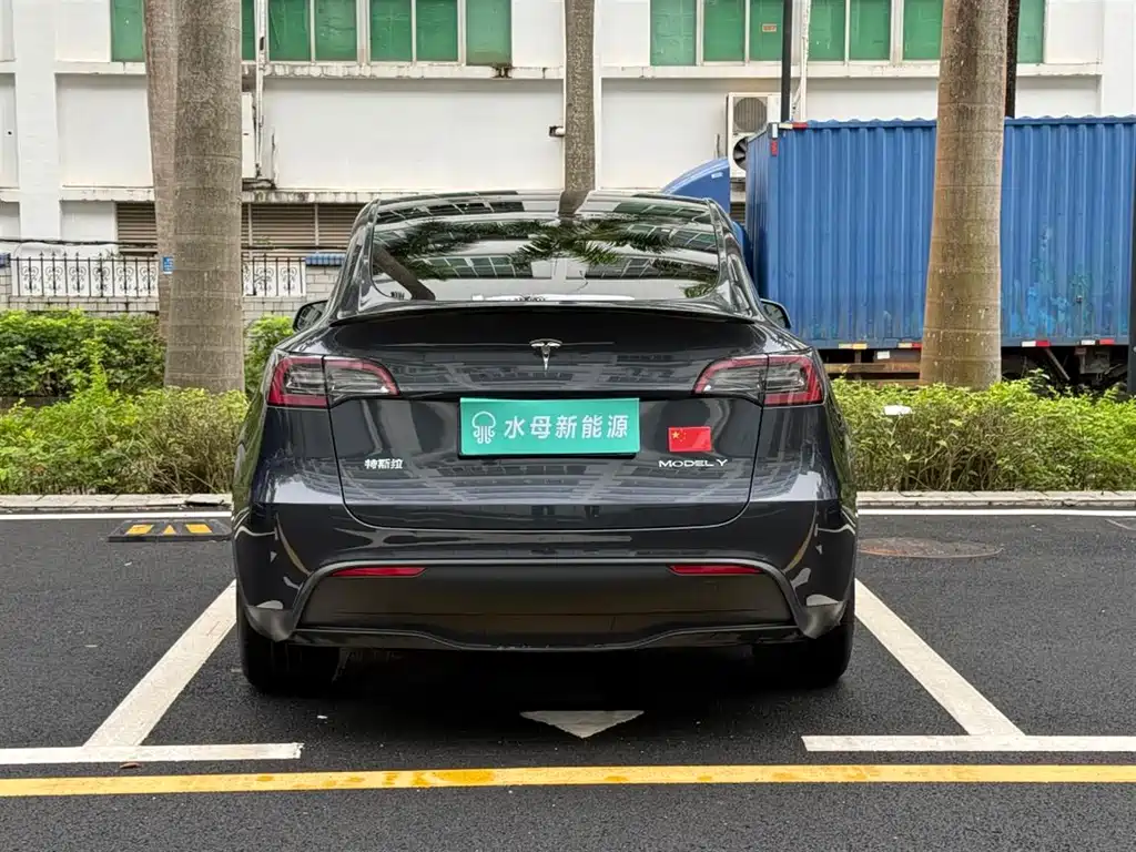 Tesla Model Y — миниатюра 11