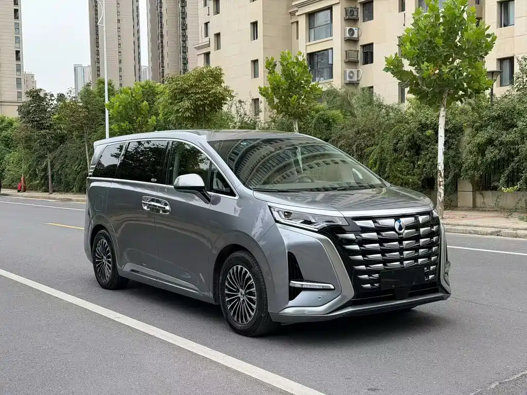Denza Denza D9 — миниатюра 3