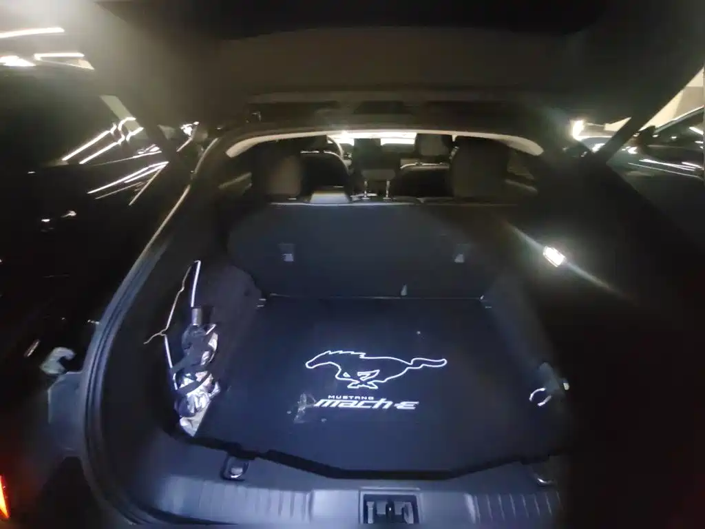 Ford Mustang Mach-E — миниатюра 10