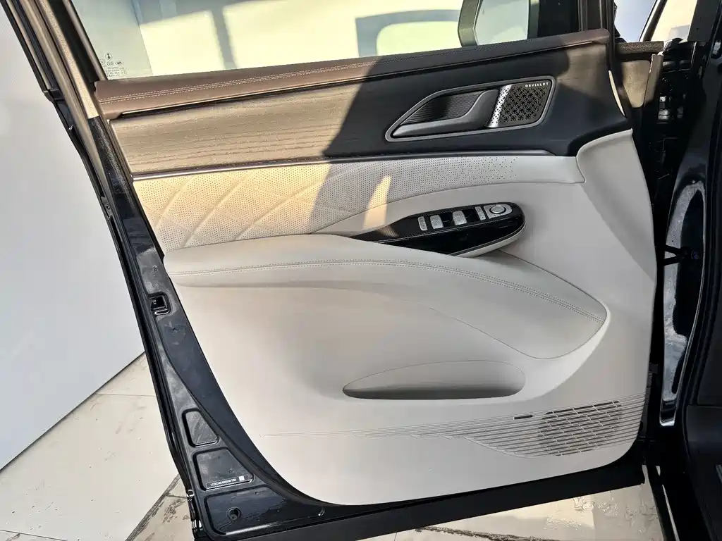 Denza Denza D9 — миниатюра 7