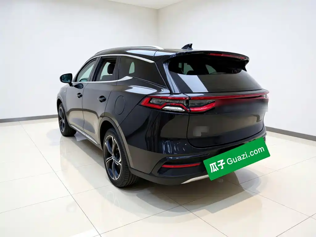 BYD Tang New Energy — миниатюра 4